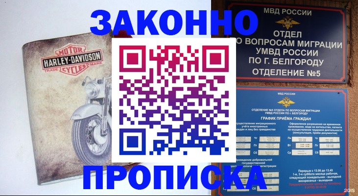 прописка для школы в Чаплыгине
